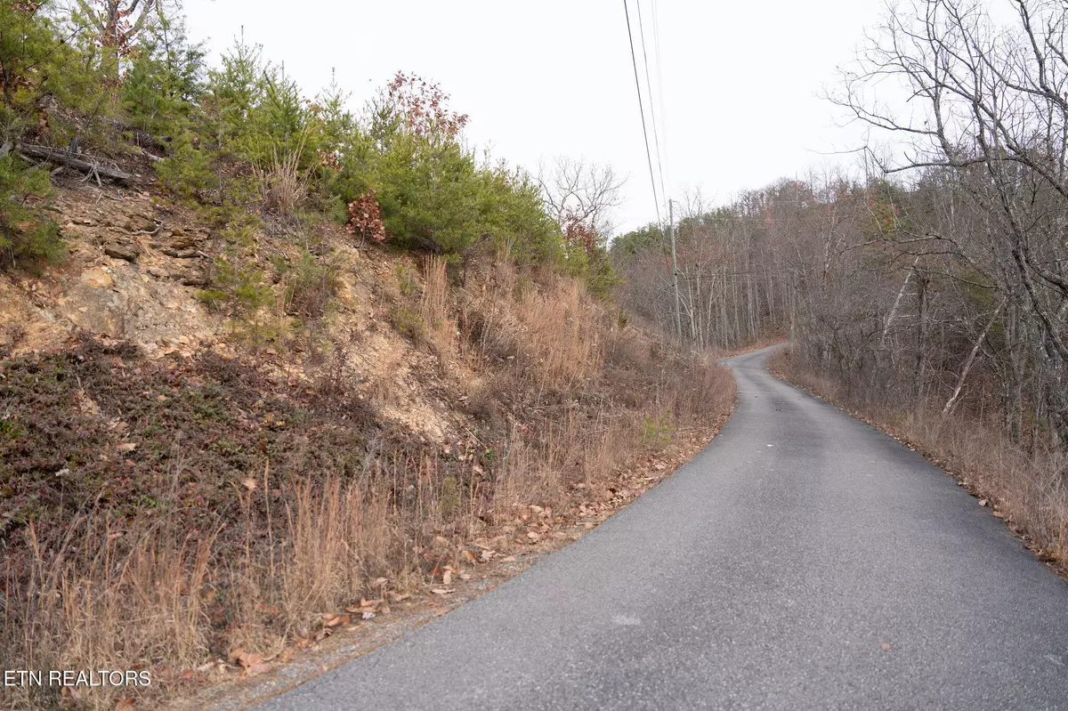 Sevierville, TN 37862,Lot 22 Trace WAY