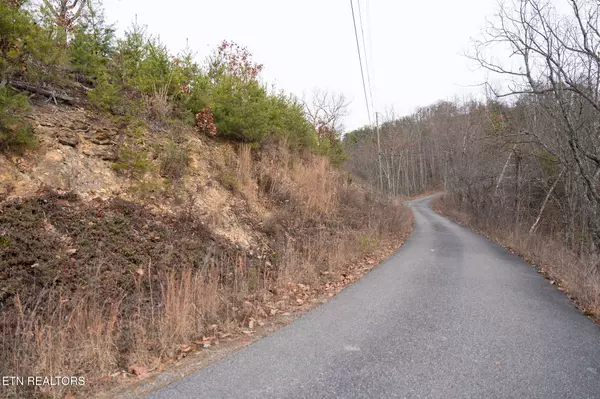 Lot 22 Trace WAY, Sevierville, TN 37862