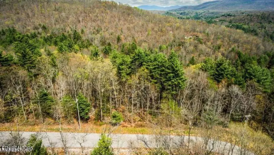 Harriman, TN 37748,Lot 38 Green Ridge Tr