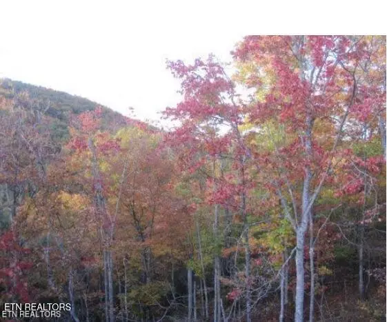 Harriman, TN 37748,Lot 12 Green Ridge Tr