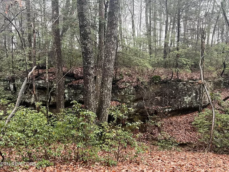 Lot 23 Overlook Pl. #5, Monterey, TN 38574