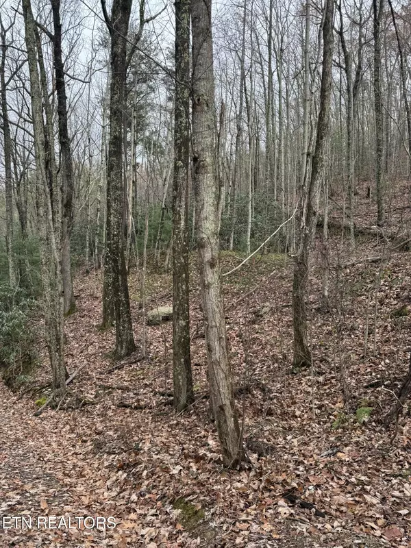 Sevierville, TN 37876,Lot 6-7 John Sevier DR