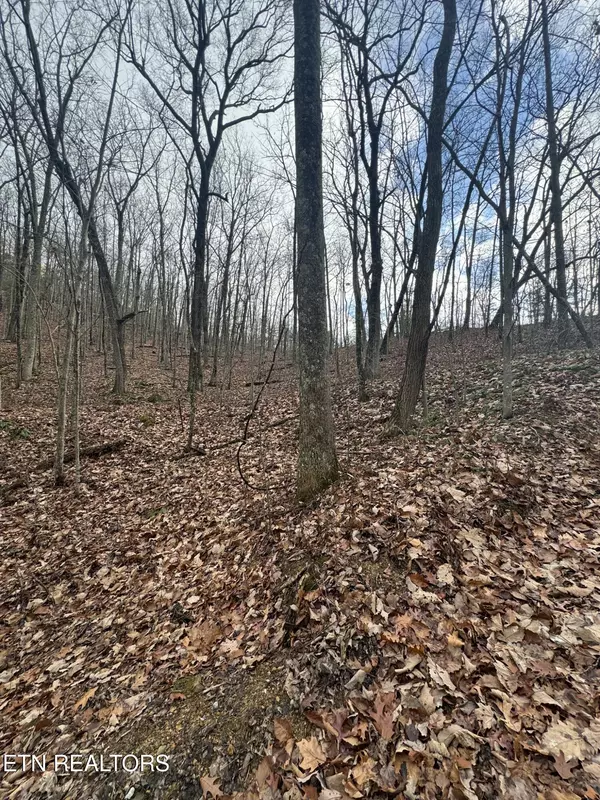 Sevierville, TN 37876,Lot 6-7 John Sevier DR