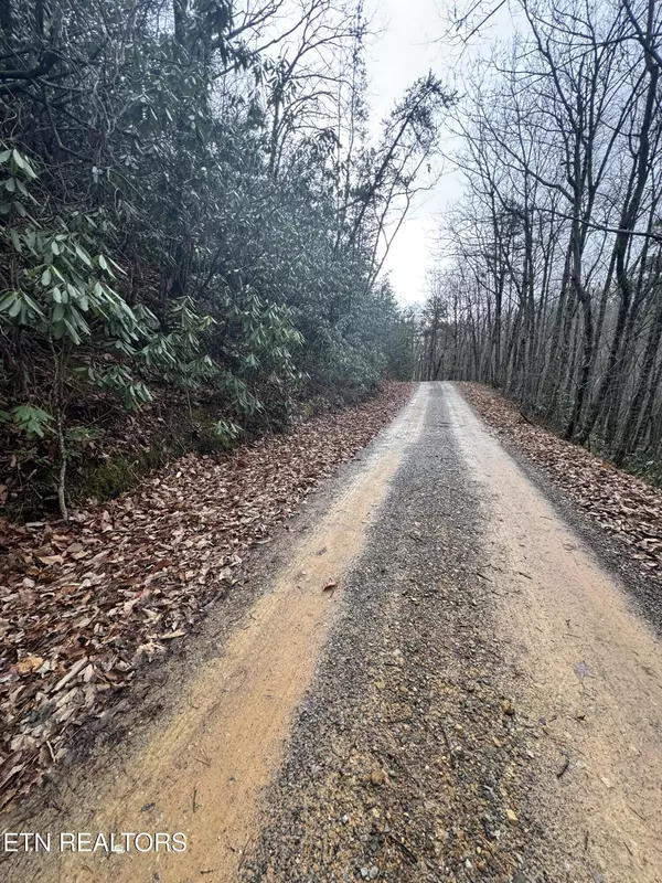 Sevierville, TN 37876,Lot 14 John Sevier DR