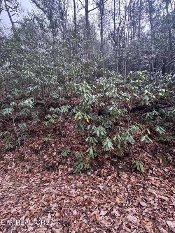 Lot 14 John Sevier DR, Sevierville, TN 37876