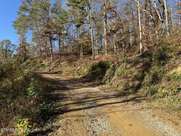 0 Mulberry WAY, Sevierville, TN 37876
