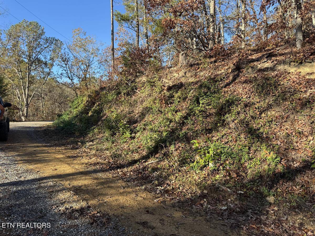 Sevierville, TN 37876,0 Mulberry WAY