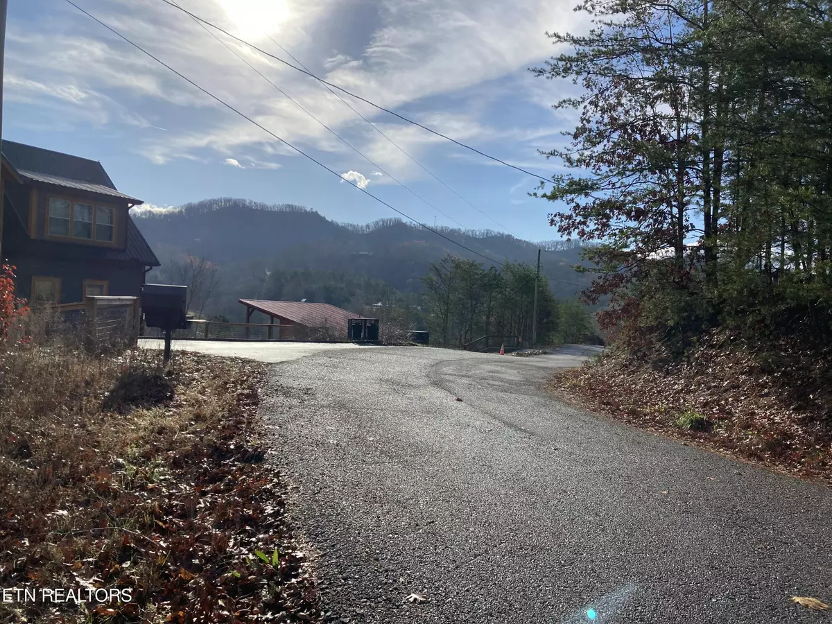 Sevierville, TN 37876,Lot 51 Red Cedar Ln