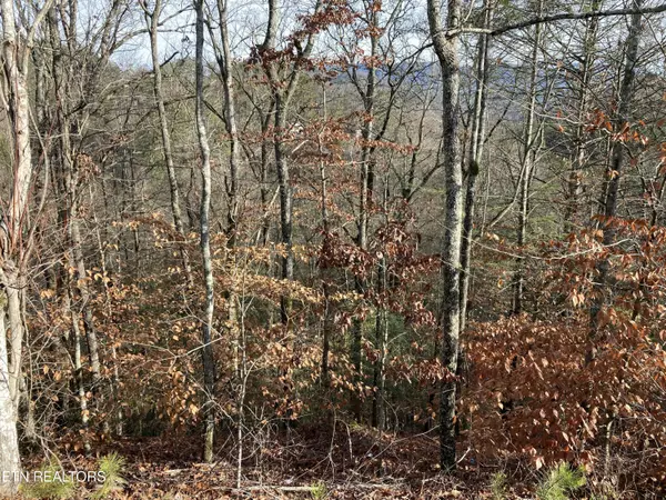 Sevierville, TN 37876,Lot 51 Red Cedar Ln