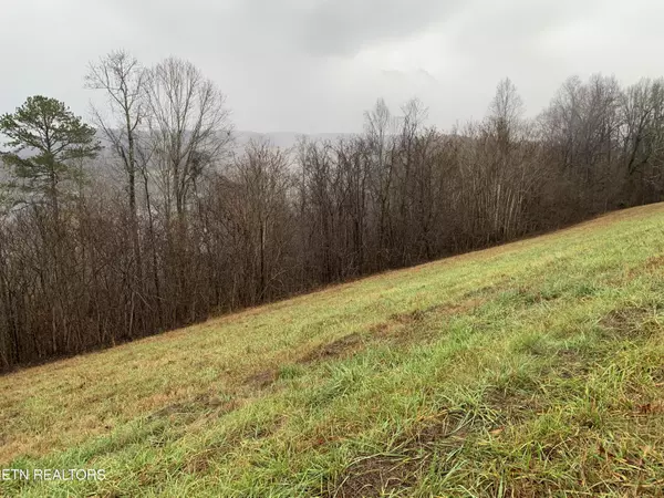 New Tazewell, TN 37825,Lot 321 Sapphire CT