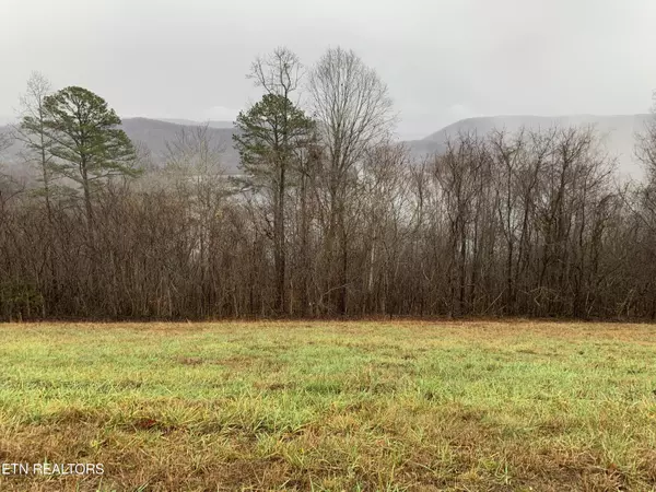 New Tazewell, TN 37825,Lot 321 Sapphire CT