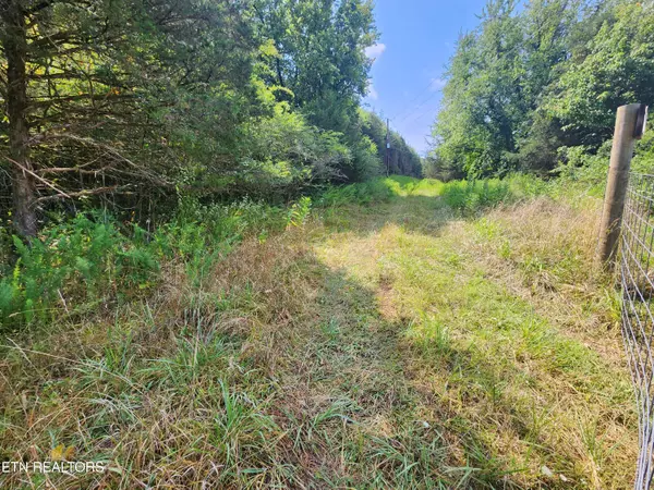 Gainesboro, TN 38562,Lot 6 Baugh Hollow Rd