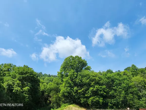 Gainesboro, TN 38562,Lot 6 Baugh Hollow Rd