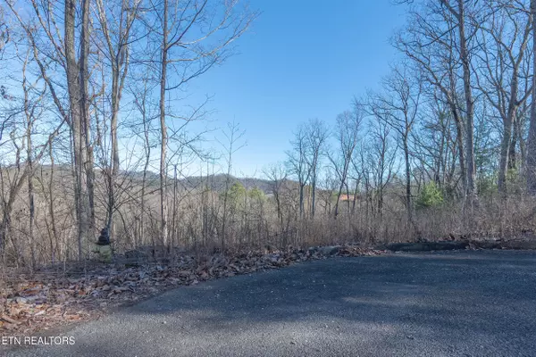 Sevierville, TN 37862,Lot 51 Cloud View DR