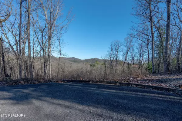 Sevierville, TN 37862,Lot 51 Cloud View DR