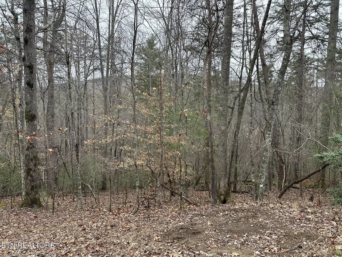 Fairfield Glade, TN 38558,173 Pineridge LOOP