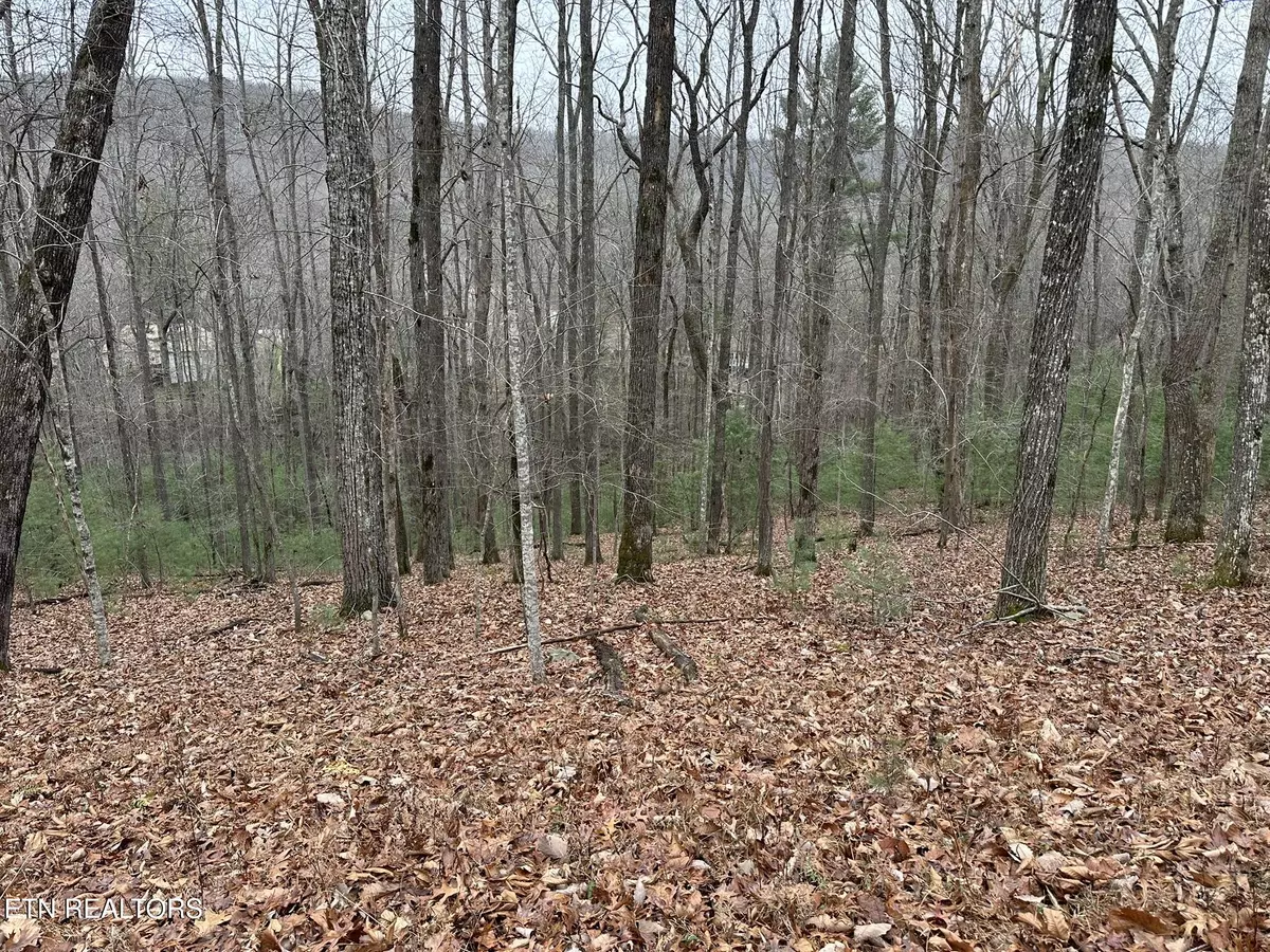 Fairfield Glade, TN 38558,179 Pineridge LOOP