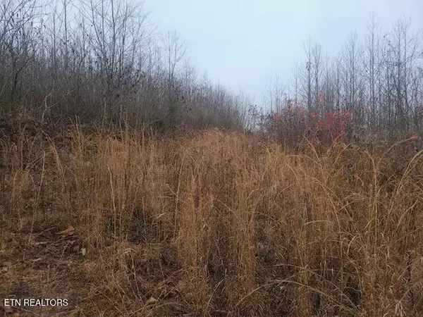 Ewing, VA 24248,Dooley Hollow Rd