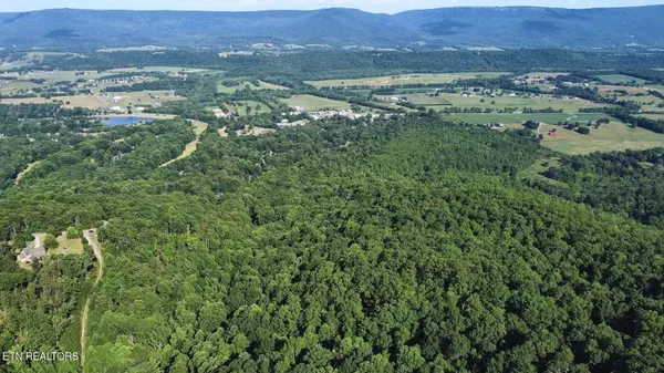 Dunlap, TN 37327,95 Acres Off Blue Sewanee Rd