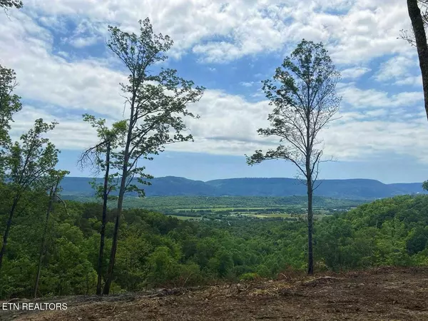 Dunlap, TN 37327,95 Acres Off Blue Sewanee Rd