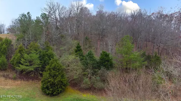 130 Vineyard CV, Loudon, TN 37774