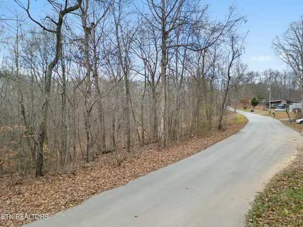 Harriman, TN 37748,217 Clear Springs Rd