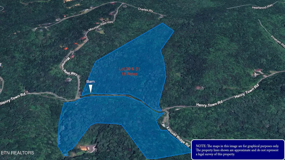 Sevierville, TN 37876,Lot 30/31 Henry Town Rd