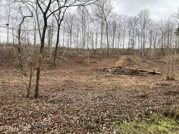 lot 1 Arwine Road, Decatur, TN 37322