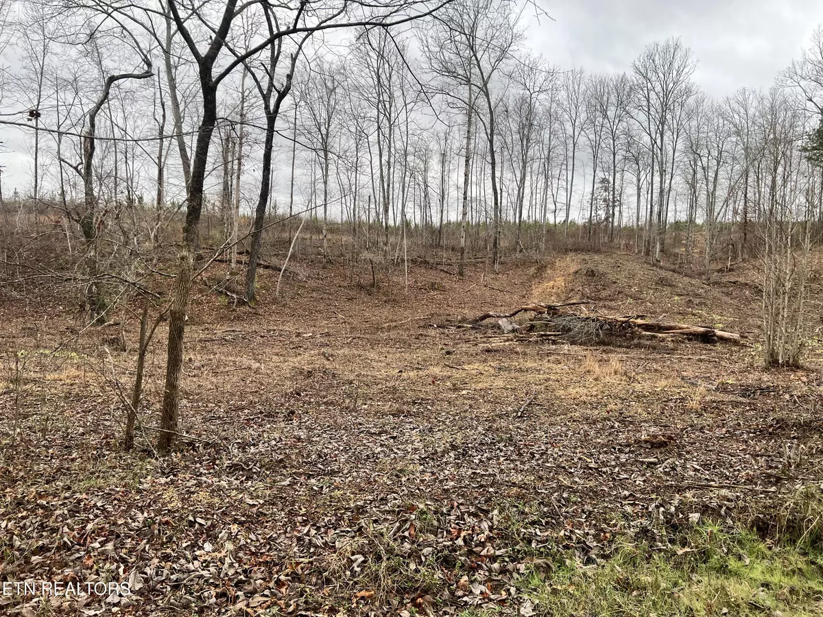 Decatur, TN 37322,lot 1 Arwine Road