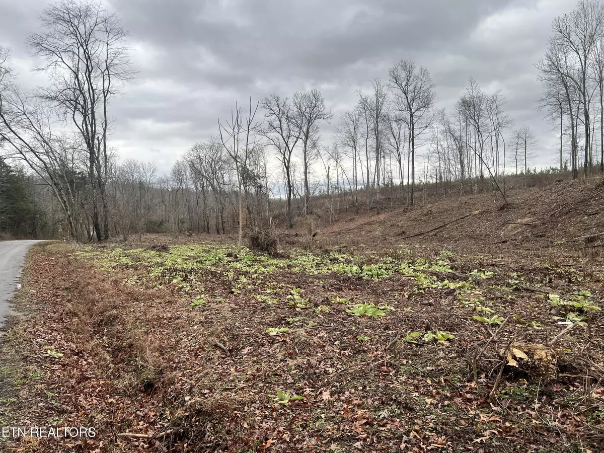 Decatur, TN 37322,lot 2 Arwine Road