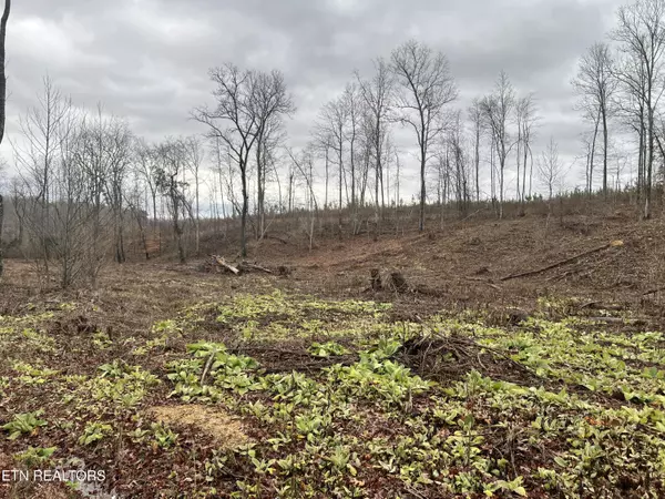 Decatur, TN 37322,lot 2 Arwine Road