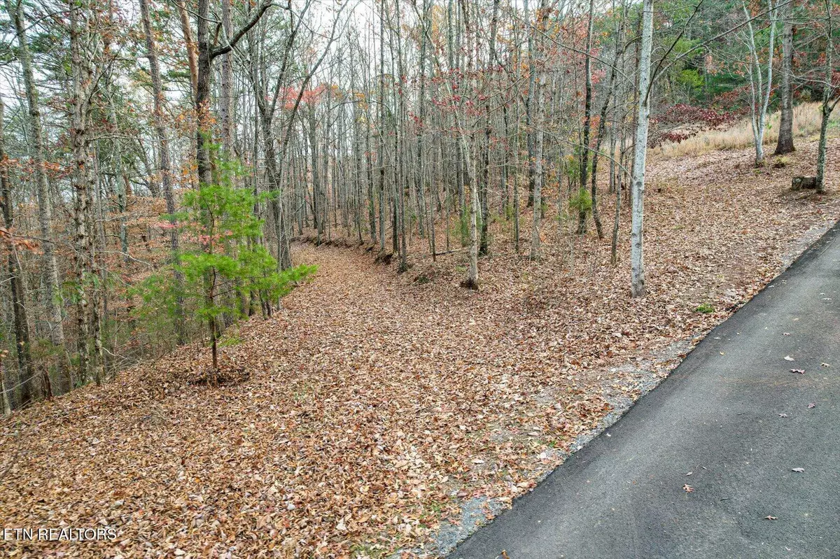 Riceville, TN 37370,25 Acres County Road 758