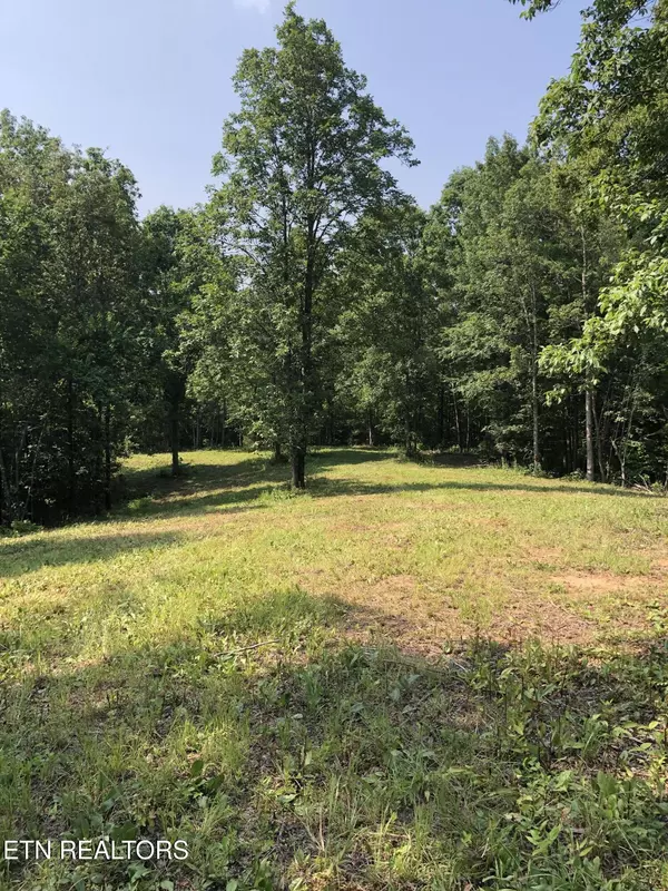 Riceville, TN 37370,25 Acres County Road 758