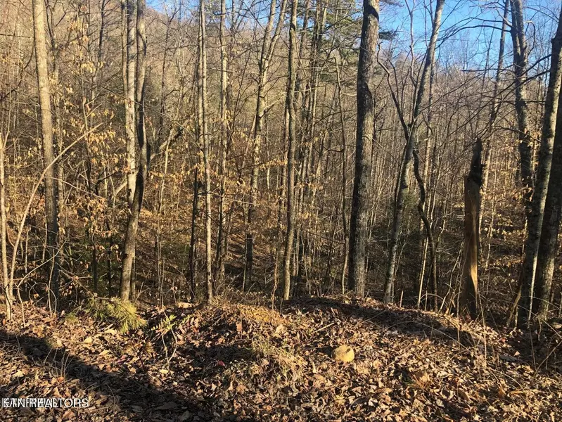 Lot 68 Yellowwood DR, Sevierville, TN 37876