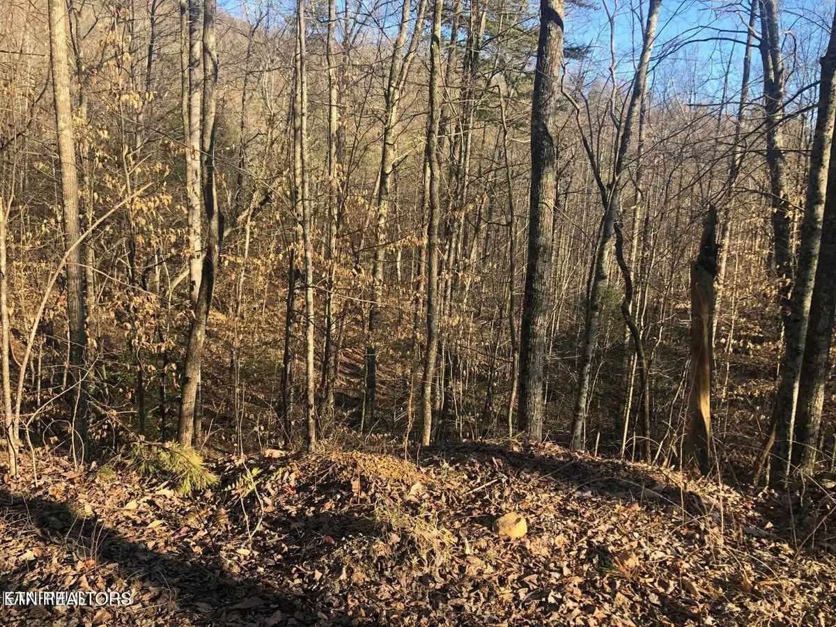 Sevierville, TN 37876,Lot 68 Yellowwood DR