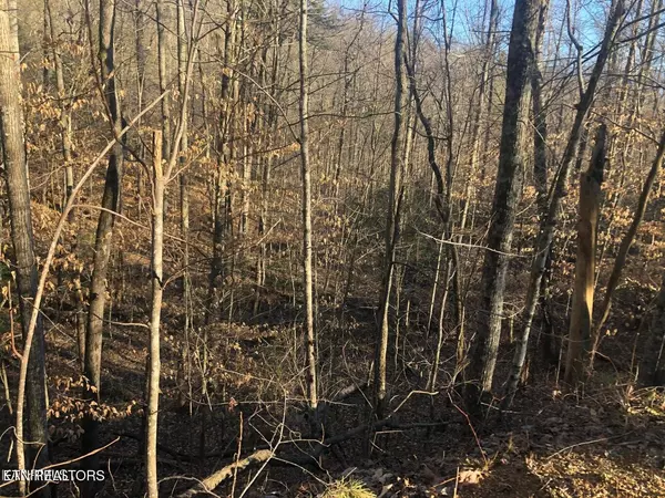 Sevierville, TN 37876,Lot 68 Yellowwood DR