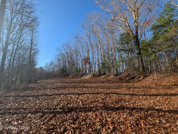 Catoosa Woods DR, Lancing, TN 37770