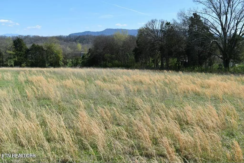 Seymour, TN 37865,Lot 19 Temple Rd