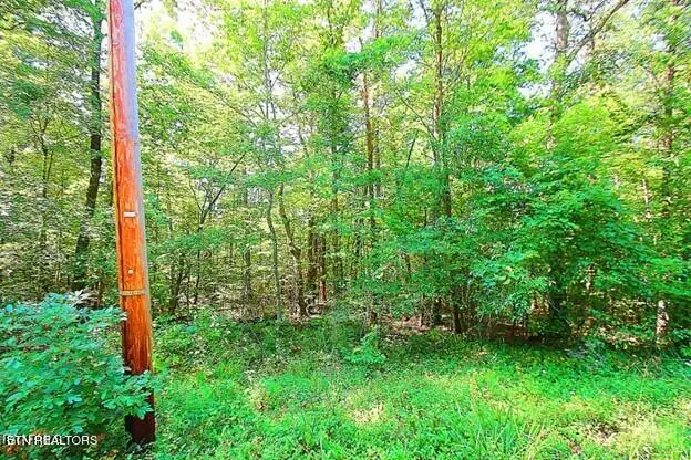 Fairfield Glade, TN 38558,175 Pineridge LOOP