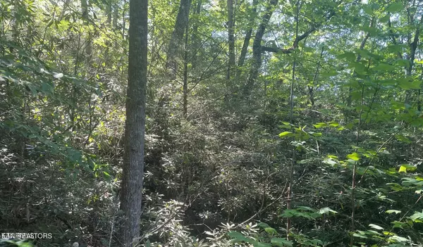 Sevierville, TN 37876,Lot 70 Hazelnut LN