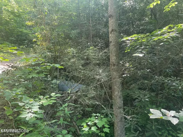 Sevierville, TN 37876,Lot 76 Sycamore St