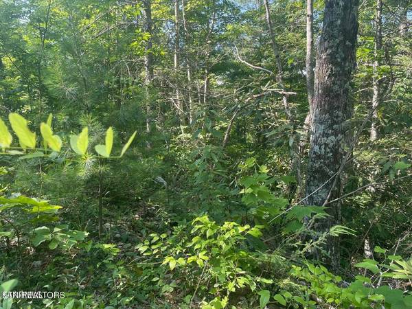 Lot 1 Sycamore St, Sevierville, TN 37876