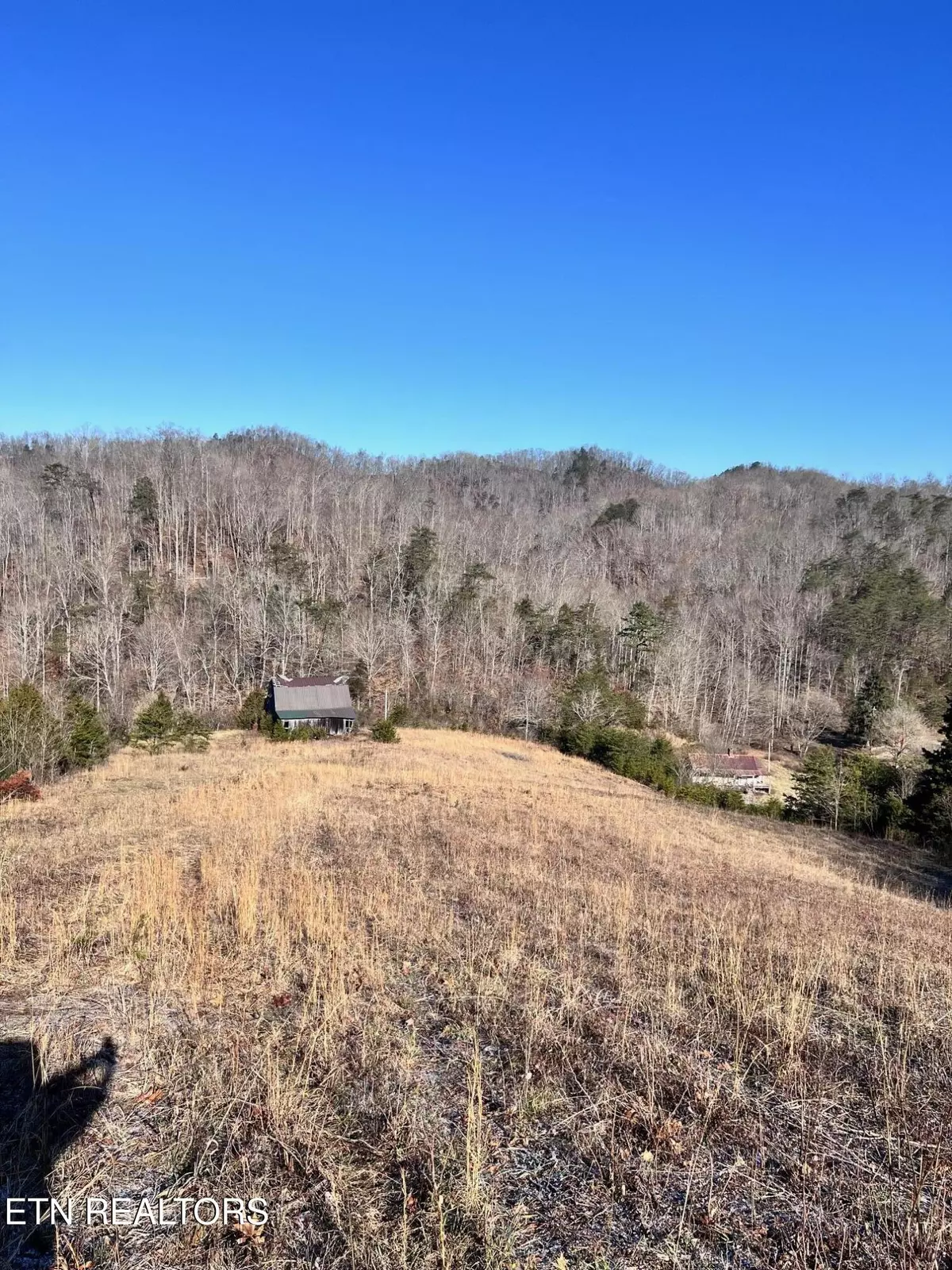 Tazewell, TN 37879,Tract 2 Bundren Mountain Rd