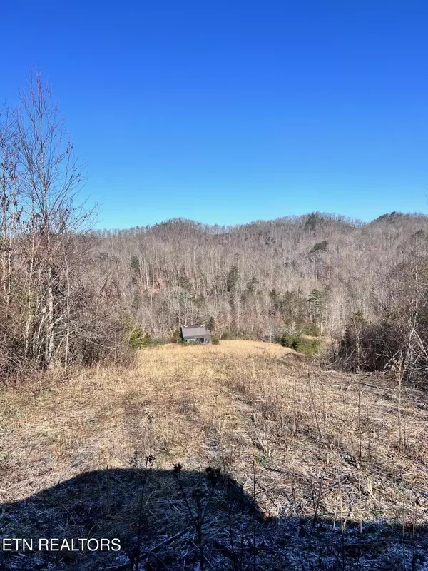 Tazewell, TN 37879,Tract 2 Bundren Mountain Rd