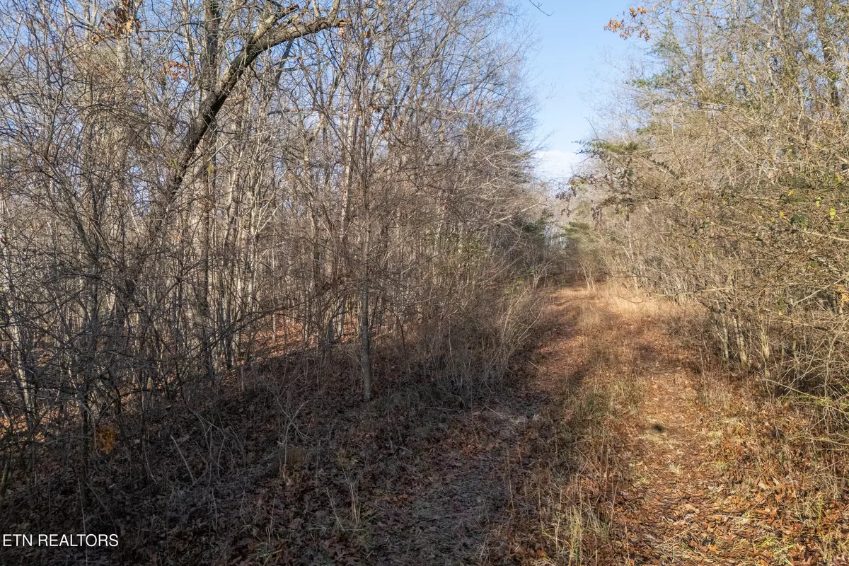 Crossville, TN 38555,Lot 1735 Satsuma DR