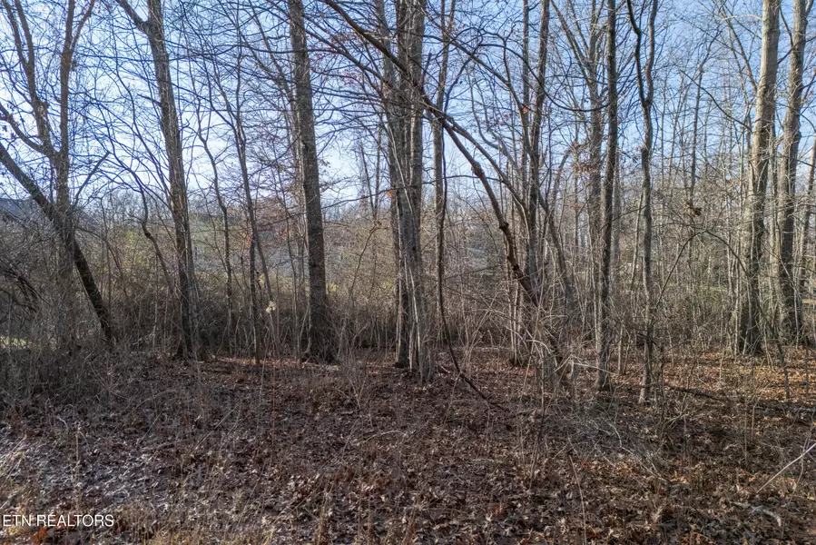 Lot 1736 Satsuma DR, Crossville, TN 38555