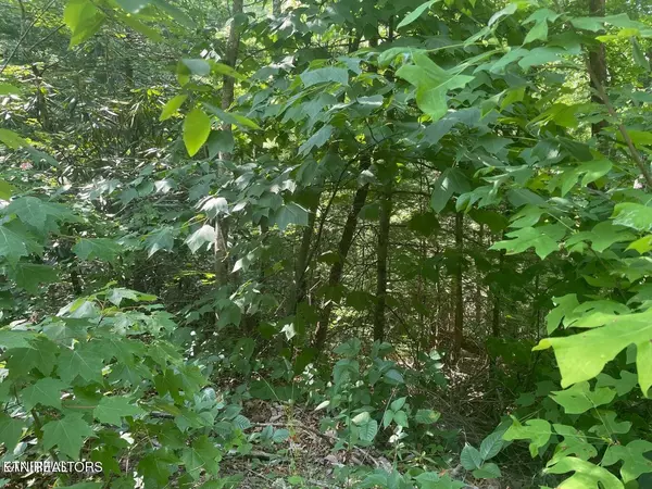 Sevierville, TN 37876,Lot 71 Hazelnut LN