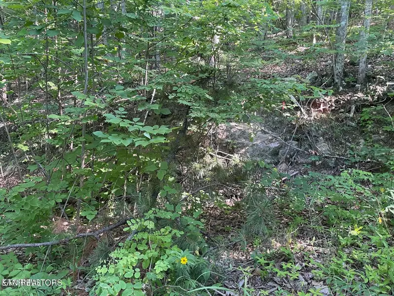 Lot 22 Elderberry DR, Sevierville, TN 37876