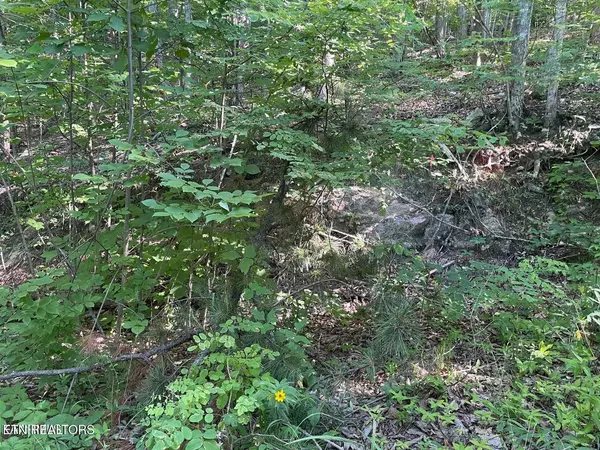 Lot 22 Elderberry DR, Sevierville, TN 37876