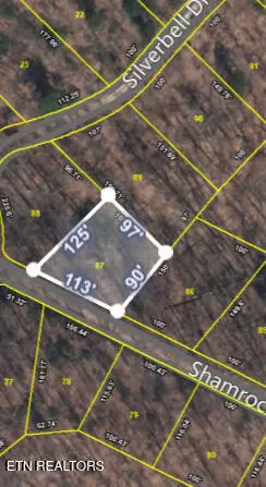 Sevierville, TN 37876,Lot 87 Shamrock PL